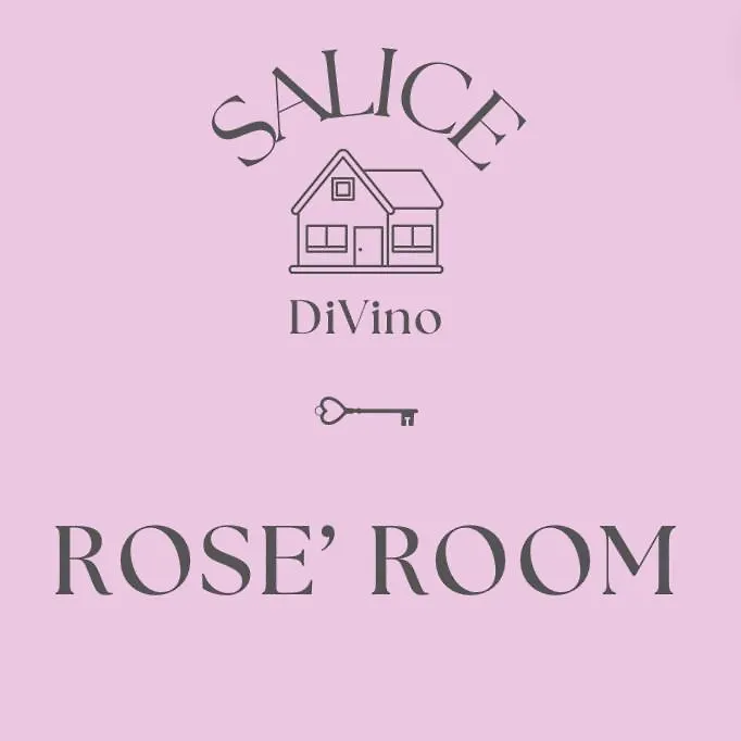 Salice Divino Hotel Lezzeno 0*,  Italien